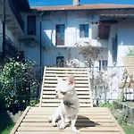 Levoasi 4 Apartment *