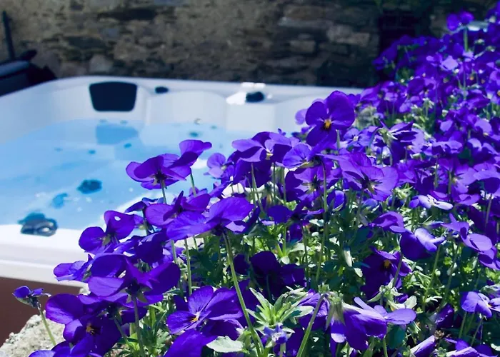 Levoasi 4 アパート Levo