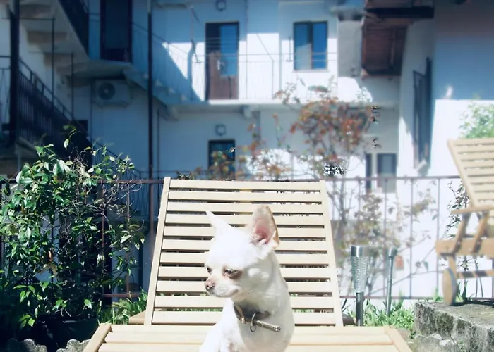 Levoasi 4 アパート *